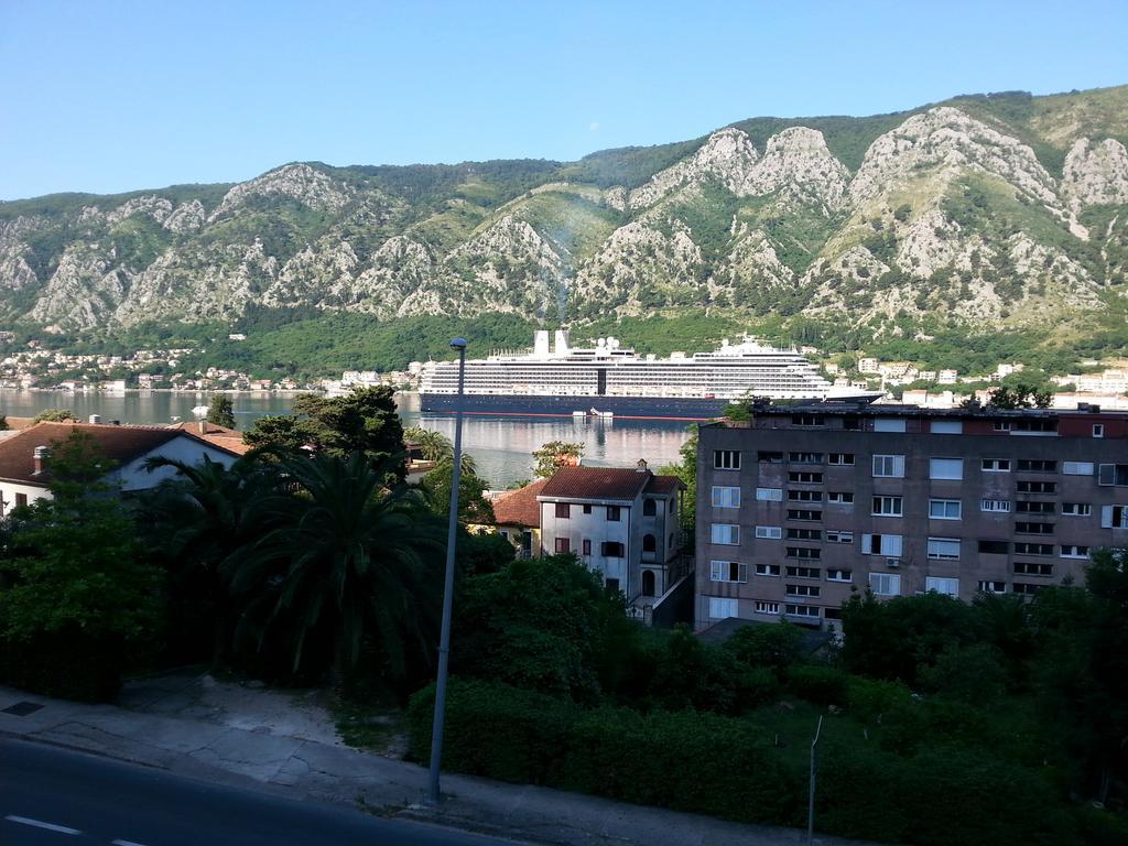 Apartment Kralj Kotor Habitación foto