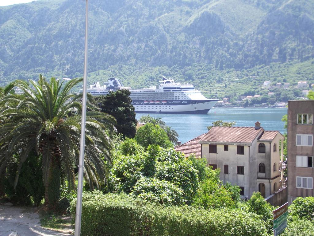 Apartment Kralj Kotor Habitación foto